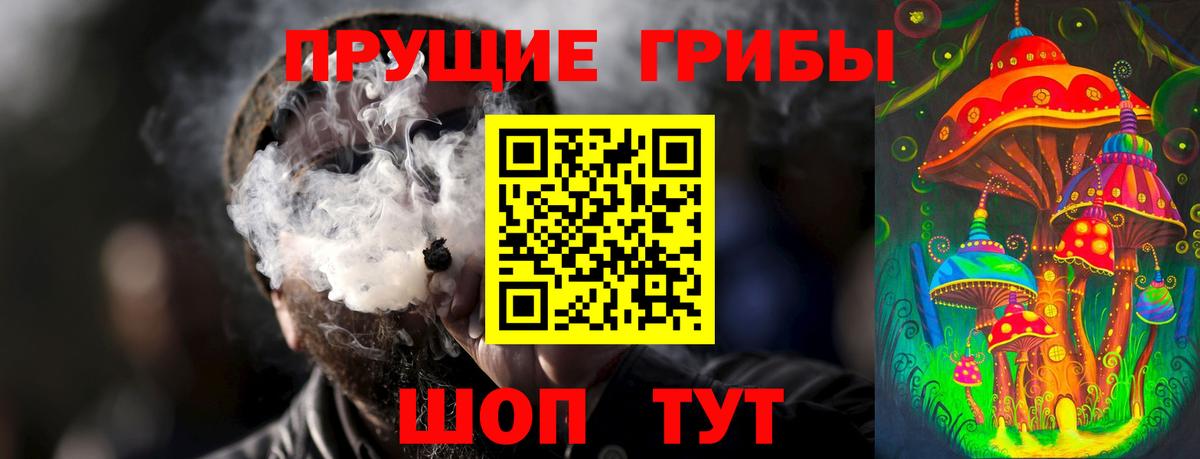 Галлюциногенные грибы Psilocybe Свободный